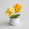 Yellow + Orange Combination Carnation