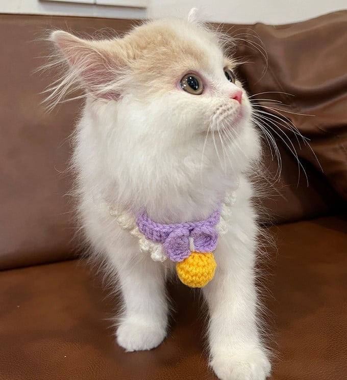 Handmade Knitted Pet Collar with Bow and Silent Bell