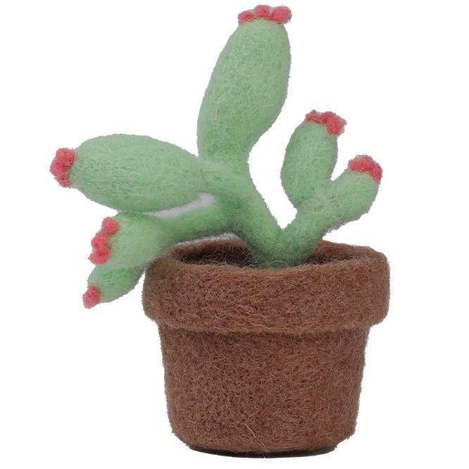 Handmade Needle Felting Succulent Kit