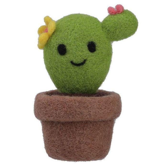Handmade Needle Felting Succulent Kit