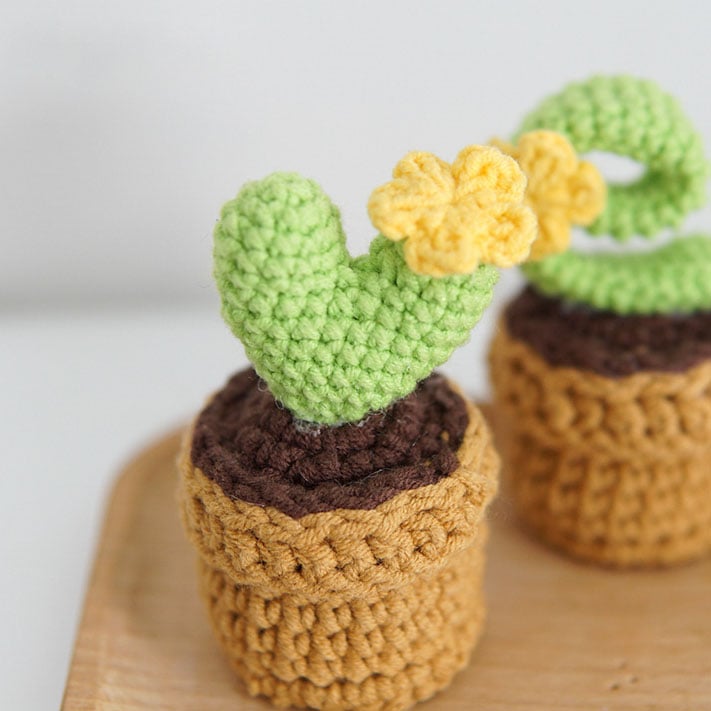 Crochet LOVE Succulent Cactus Potted Plant