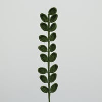 green leaf