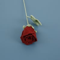 wine red wine glass rose