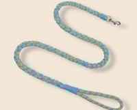 Blue + Yellow + Light Blue