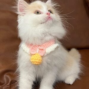 Handmade Knitted Pet Collar with Bow and Silent Bell