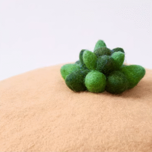 succulent beret 