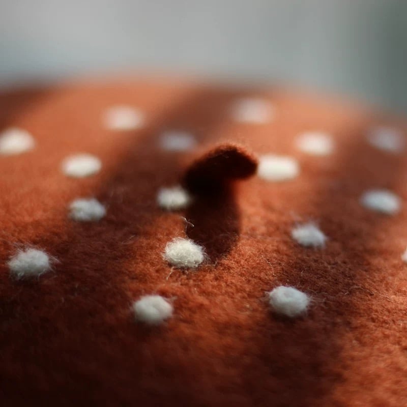 handmade wool felt animal beret