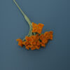 bright orange