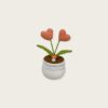 Wild Chrysanthemum Pink