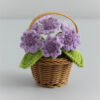 Purple Center, Yellow Petals