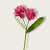 rose pink