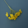 bright yellow