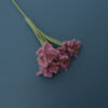 flesh pink