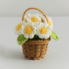 Yellow Center, White Petals