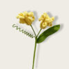 light yellow